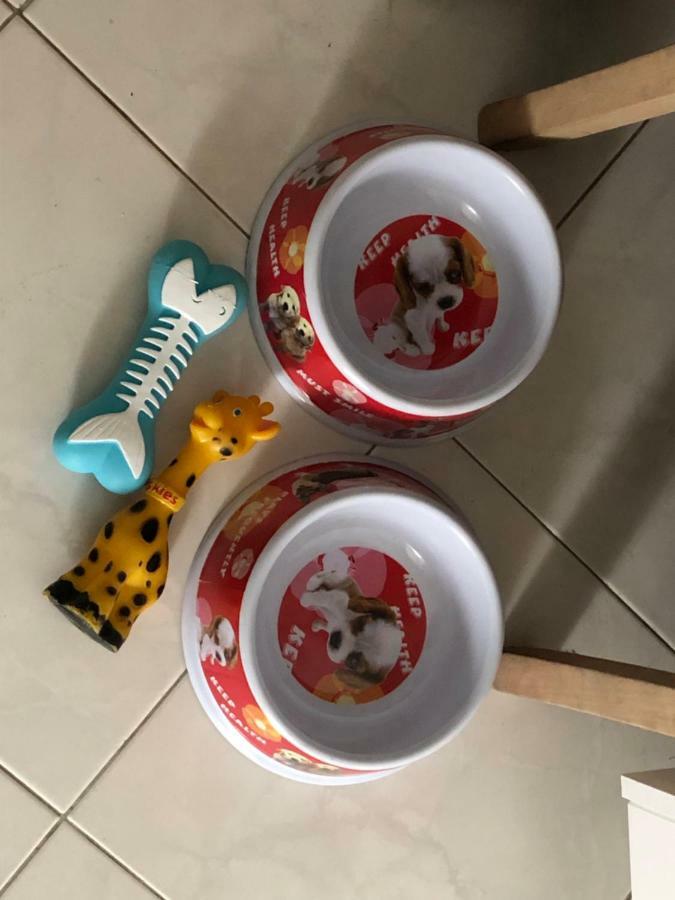 מרינה רומיאה Appartamento Curato Con Giardino מראה חיצוני תמונה